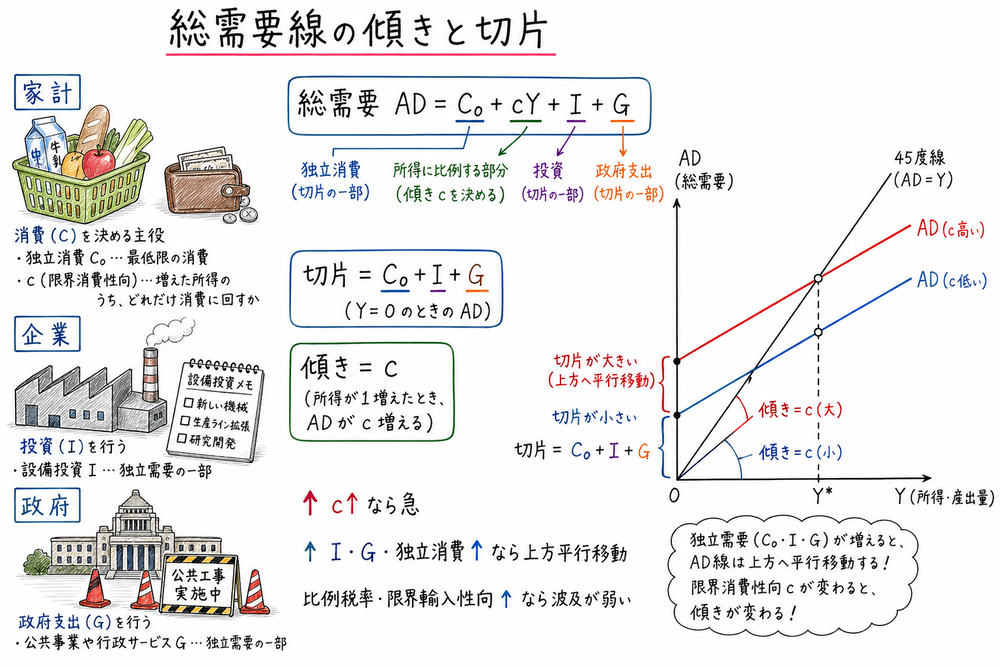 総需要線の切片と傾きを、基礎消費・投資・政府支出と限界消費性向で整理する手書き風図解