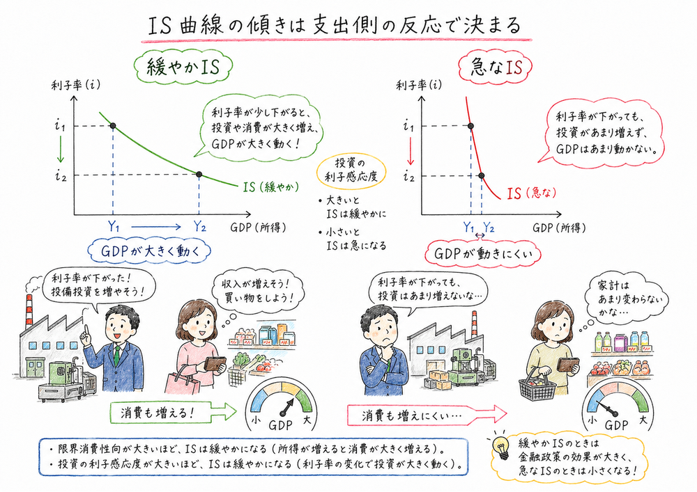 IS曲線の傾きが支出側の反応で変わることを緩やかなISと急なISで比較した図解