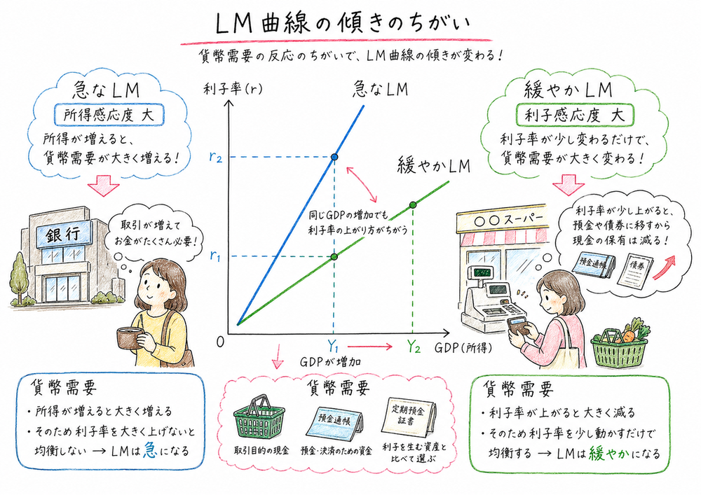 LM曲線の傾きが貨幣需要の所得感応度と利子感応度で変わることを比較した図解