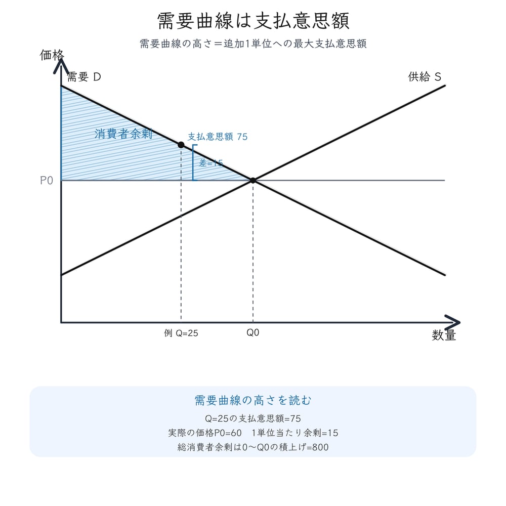 需要曲線の高さを支払意思額として読み、市場価格との差を消費者余剰につなげる図解