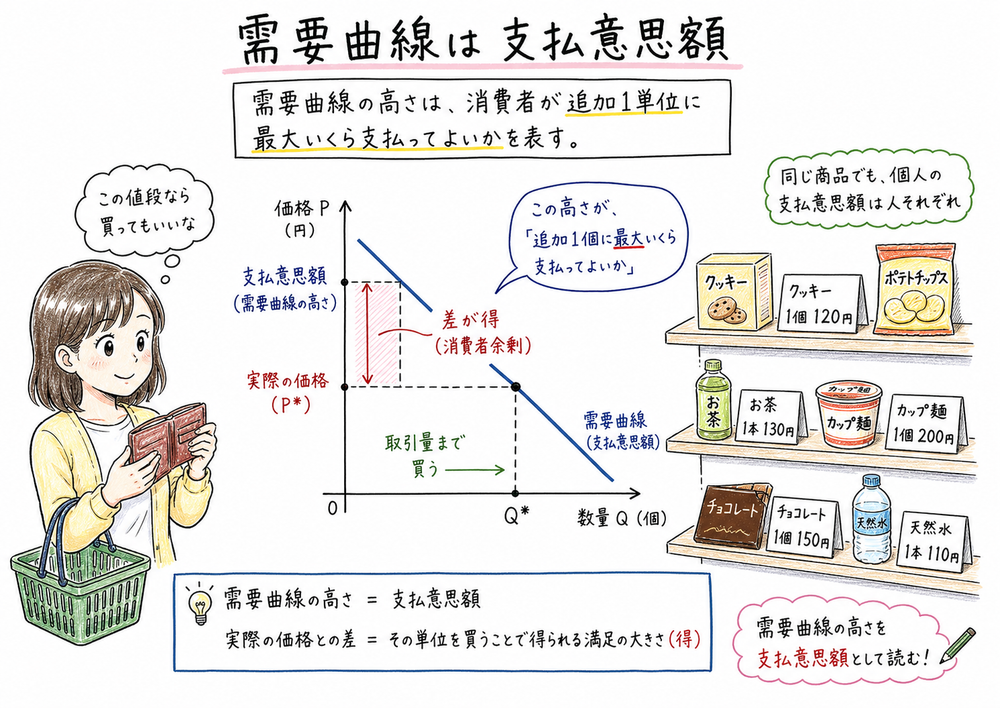需要曲線を支払意思額の高さとして読み、価格線との差を消費者余剰につなげる図解
