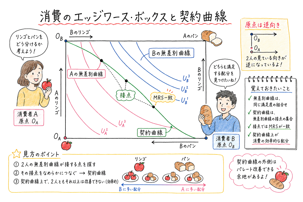 2人の原点が逆向きの消費エッジワース・ボックスで無差別曲線の接点を結ぶ契約曲線を読む図解