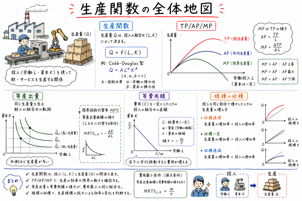 生産関数で総生産物、平均生産物、限界生産物、等産出量曲線をつなげて見る図解