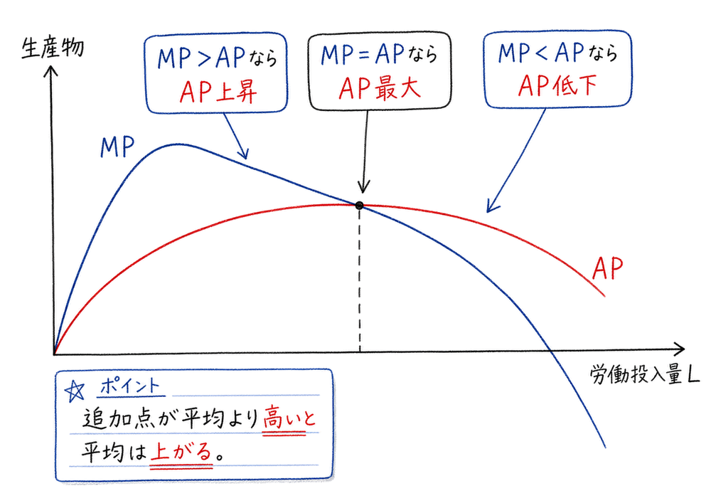 MPがAPを上回るとAPは上昇し、交点でAPが最大になり、MPがAPを下回るとAPは低下する図解