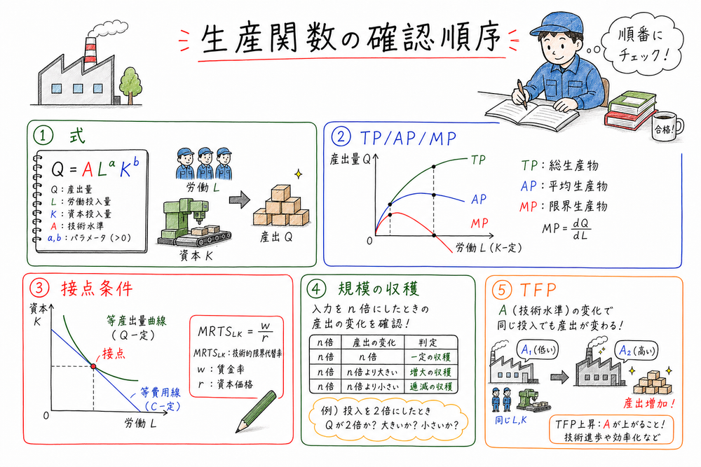 生産関数の問題で式、曲線、接点条件、規模の収穫を順に確認するまとめ図