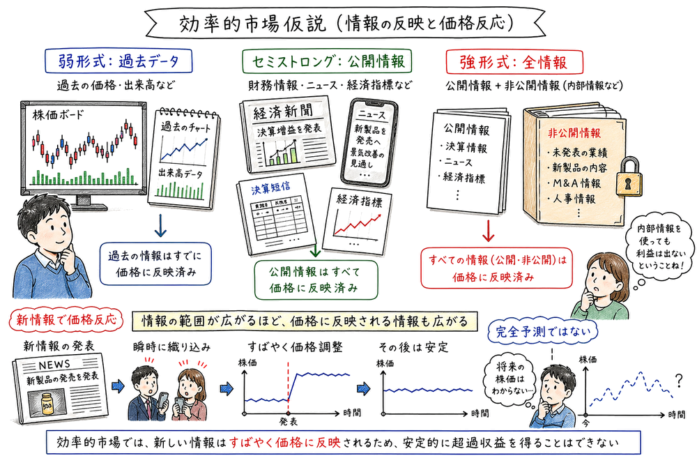 効率的市場仮説の弱形式・セミストロング型・強形式と価格反応を示す図解