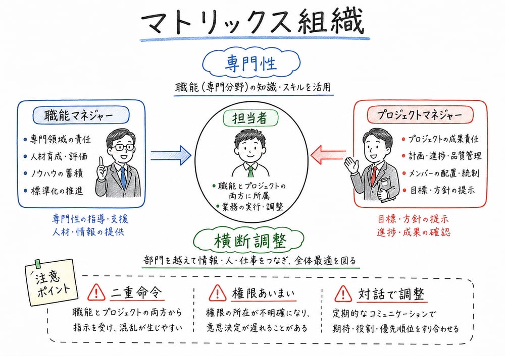 マトリックス組織で押さえる専門性、複数軸、横断調整、二重命令系統を整理する図解