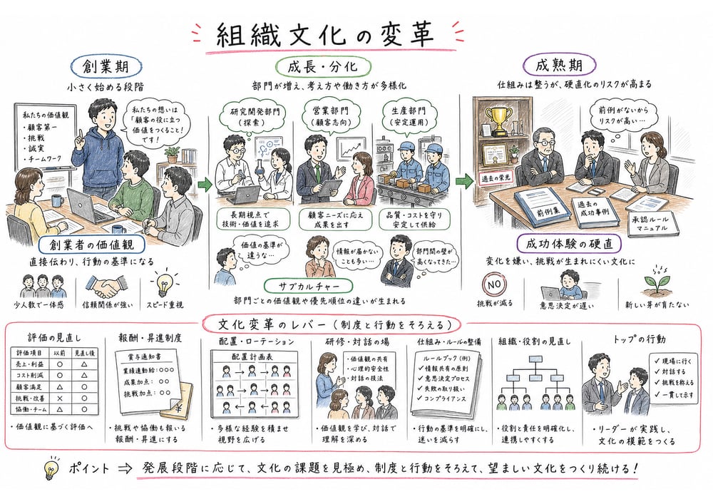 創業期、成長・分化段階、成熟期ごとに組織文化の働きと変革手段を整理した図解