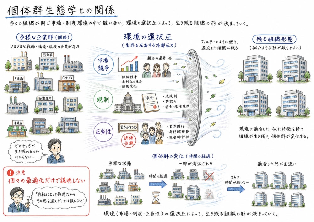 個体群生態学と選択圧の図解