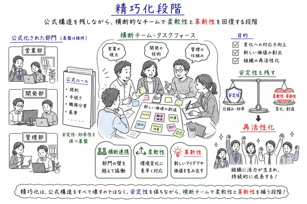 精巧化段階の横断連携と柔軟性回復を示す図