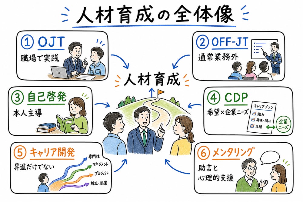 人材育成の全体像をOJT、OFF-JT、自己啓発、CDP、キャリア開発、メンタリングで整理する図解