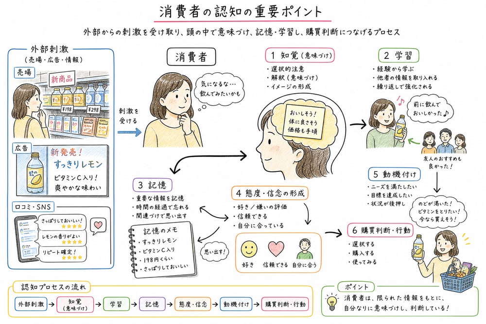 消費者の認知における刺激、知覚、学習、記憶、態度、購買判断の流れ