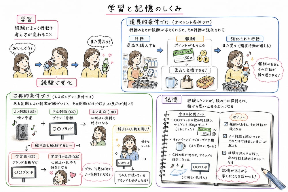 学習、道具的条件づけ、古典的条件づけ、記憶の関係