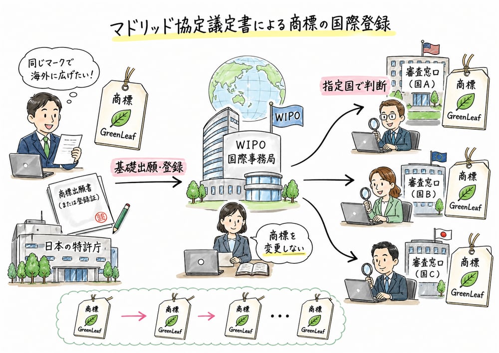 マドリッド協定議定書による商標の国際登録の流れを示す図解